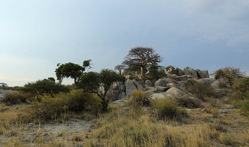 CAPODANNO NAMIBIA BOTSWANA " ANIMA PRIMORDIALE " viaggio di gruppo partenza 22 dicembre Victoria Falls