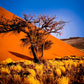 NAMIBIA ANIMA PRIMORDIALE PARTENZA 6 MARZO VIAGGIO DI GRUPPO SISTEMAZIONE TENDA