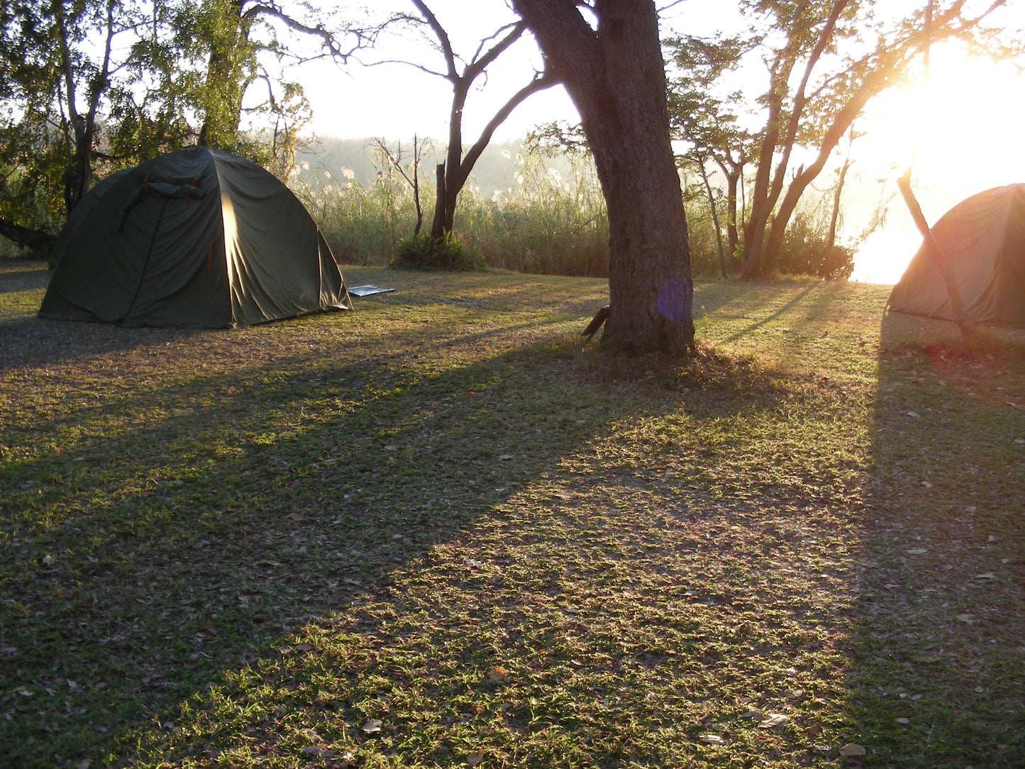BOTSWANA  " Natura Selvaggia "  viaggio di gruppo partenza 3 Dicembre sistemazione in tenda