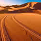 ANIMA PRIMORDIALE NAMIBIA Viaggio esclusivo Travel Tracks partenza 5 Marzo 2025