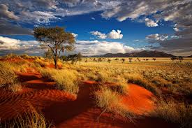 ANIMA PRIMORDIALE NAMIBIA Viaggio esclusivo Travel Tracks partenza 5 Marzo 2025