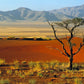 NATURA SELVAGGIA SUDAFRICA NAMIBIA BOTSWANA ZIMBABWE Partenza 15 Agosto sistemazione tenda