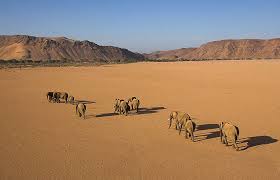 NAMIBIA CAPODANNO 2025 " CUORE SELVAGGIO" viaggio di gruppo