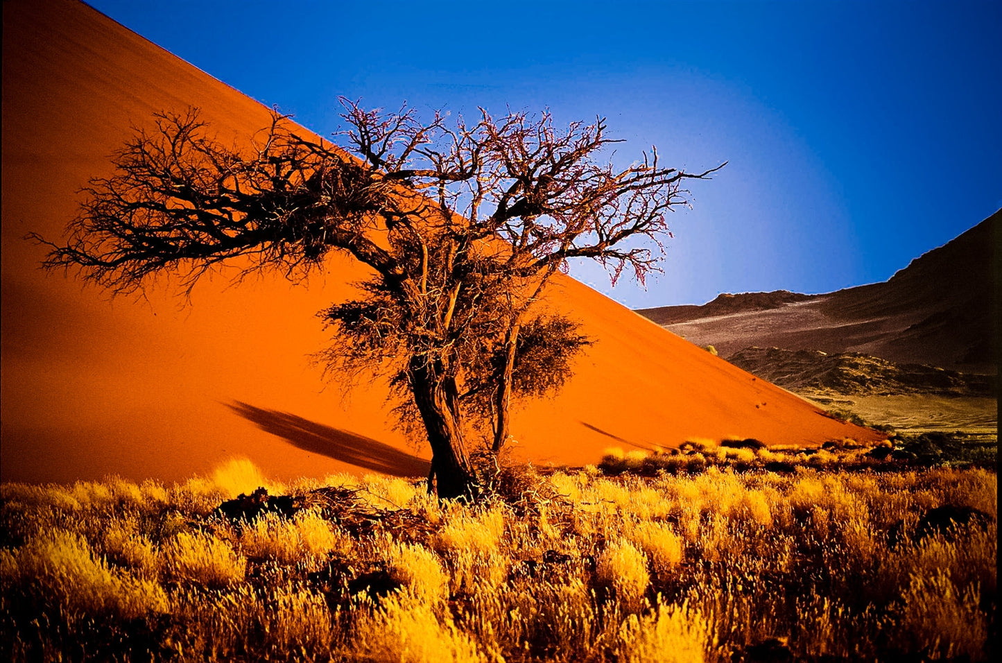 NAMIBIA ANIMA PRIMORDIALE PARTENZA 27 MARZO VIAGGIO DI GRUPPO SISTEMAZIONE TENDA