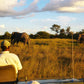 CAPODANNO NAMIBIA BOTSWANA " ANIMA PRIMORDIALE " viaggio di gruppo partenza 22 dicembre Victoria Falls
