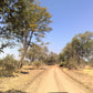 ZAMBIA " NATURA INCONTAMINATA" 20 GIORNI SELF DRIVE