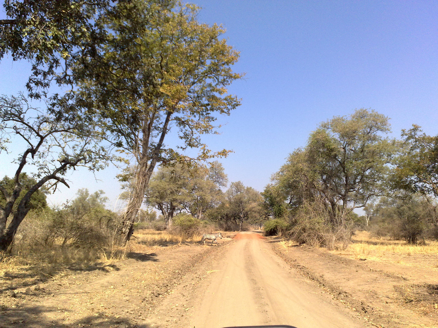 ZAMBIA " NATURA INCONTAMINATA" 20 GIORNI SELF DRIVE