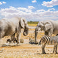 NAMIBIA ANIMA PRIMORDIALE PARTENZA  17 APRILE VIAGGIO DI GRUPPO SISTEMAZIONE TENDA
