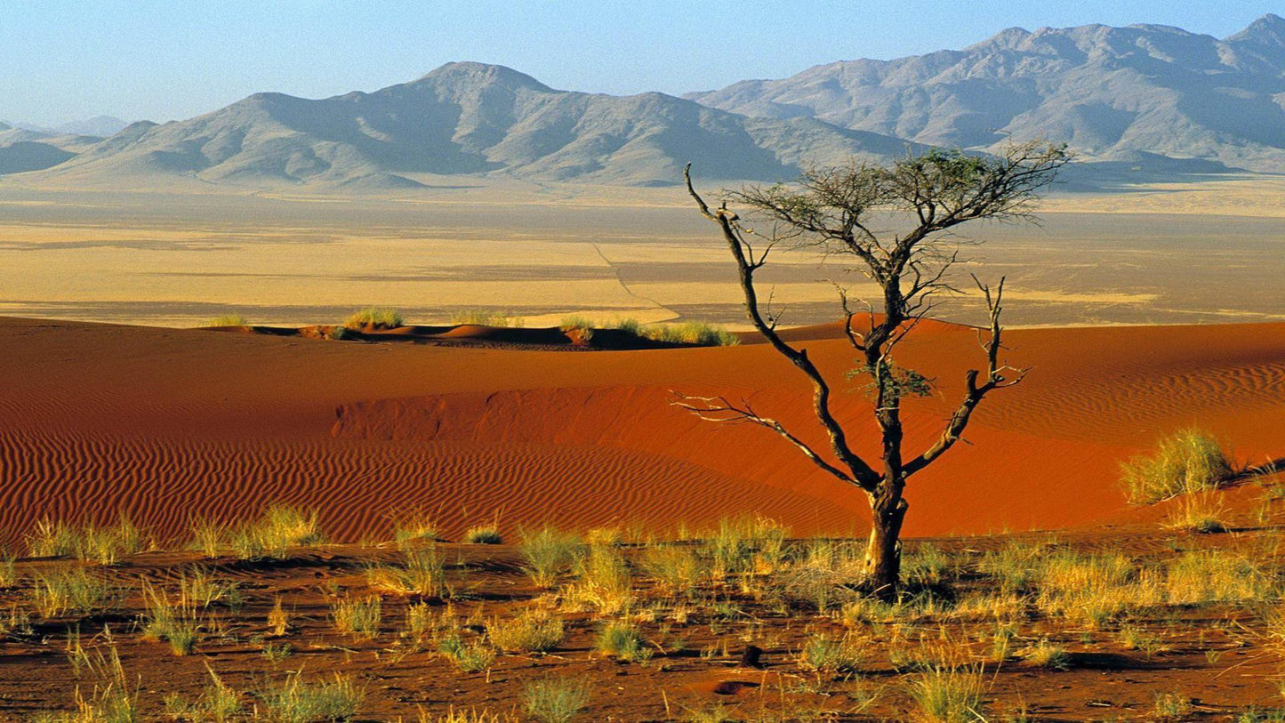NAMIBIA " NATURA PRIMORDIALE " partenza 20 Settembre viaggio di gruppo
