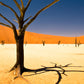 NAMIBIA " ANIMA PRIMORDIALE " self drive base 2 persone