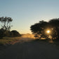 SUD AFRICA "Natura incontaminata"Kgalagadi self drive