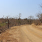 SUD AFRICA " PARCO NAZIONALE DEL KRUGER " Itinerario con veicolo equipaggiato 8 giorni